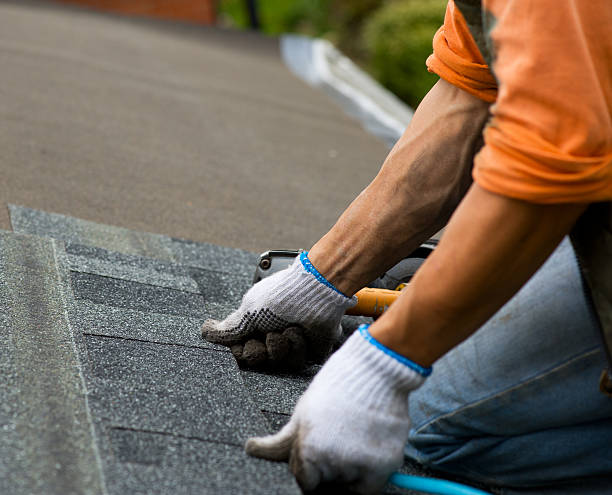 Best Roof Gutter Cleaning  in Arthurtown, SC